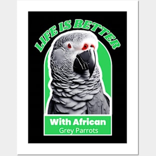 LIFE IS BETTER WITH AFRICAN GREY PARROTS Posters and Art